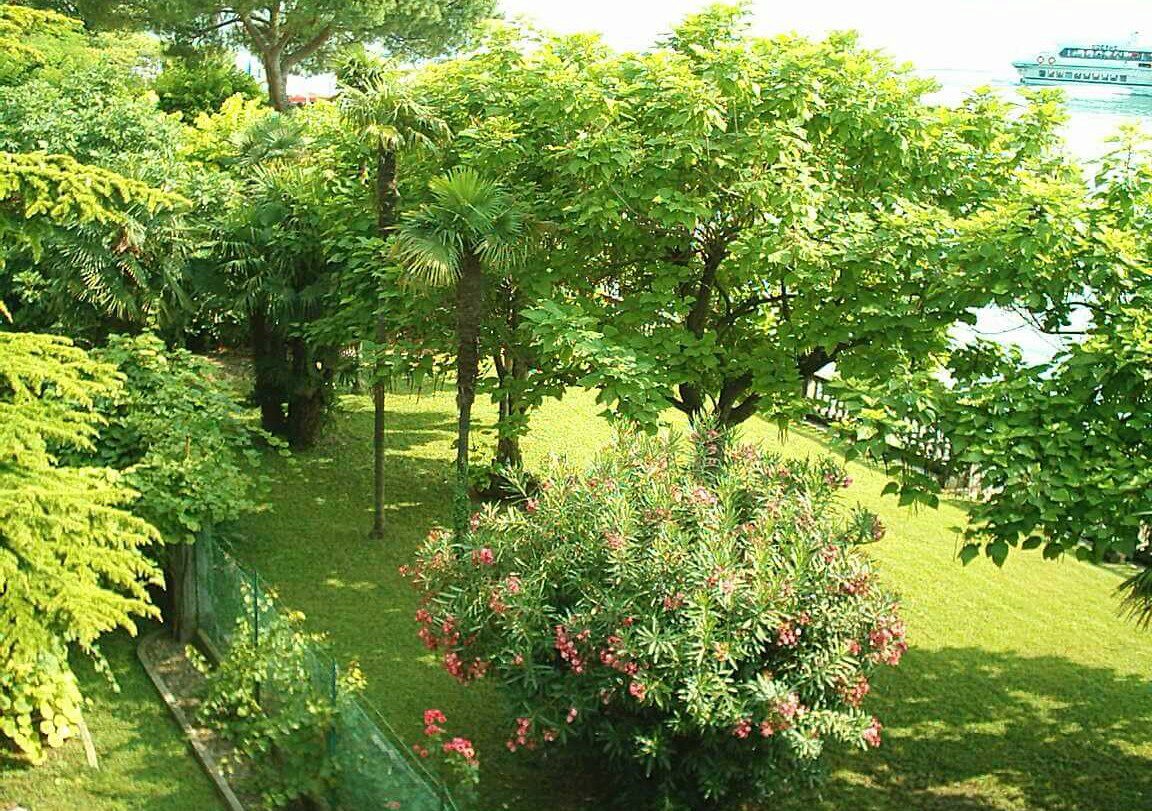 il giardino sul lago de la Magnolia